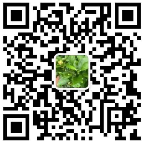 Wechat-Yuantong 2